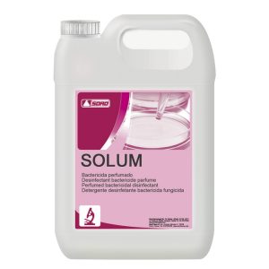 Solum